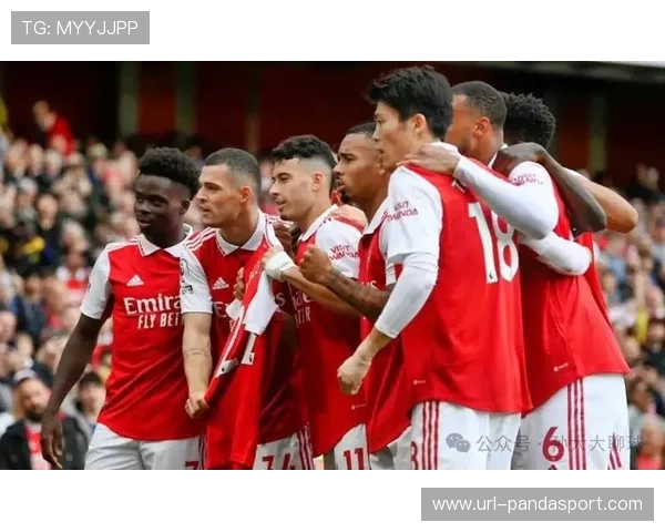 拜仁豪取16连胜 联赛欧冠双线表现卓越